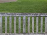 image of grave number 848245